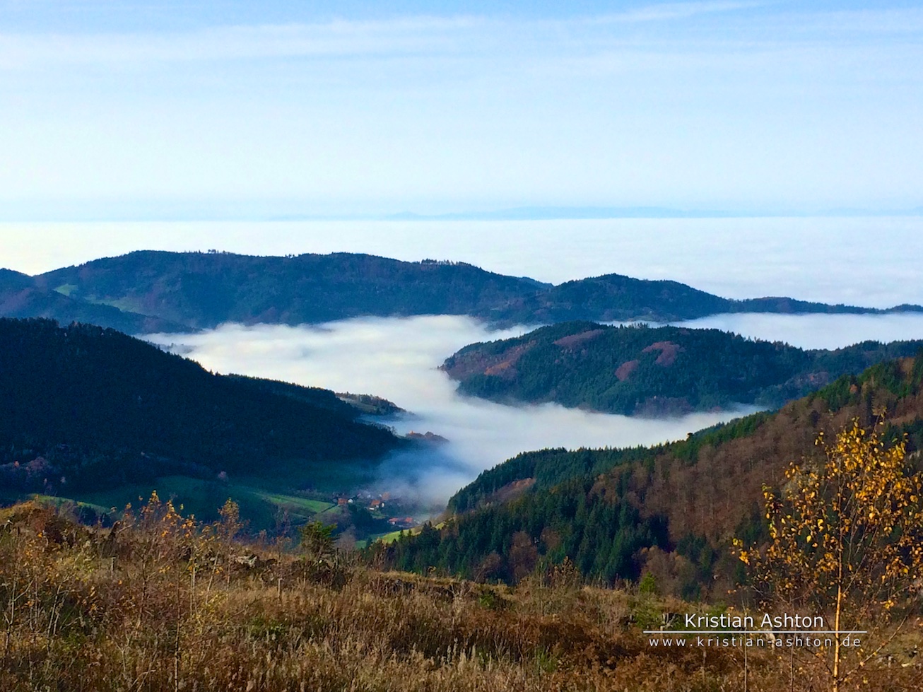 Black Forest "High Road" - inversion weather - not far from lake Mummelsee